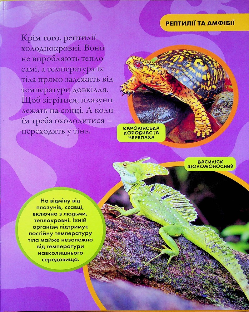 Книга National Geographic. Моя перша енциклопедія. Рептилії та амфібії. Фото 14