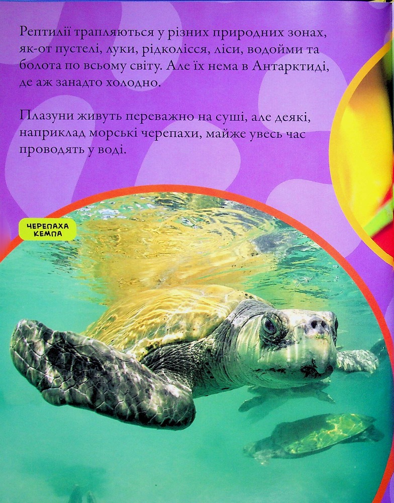 Книга National Geographic. Моя перша енциклопедія. Рептилії та амфібії. Фото 13