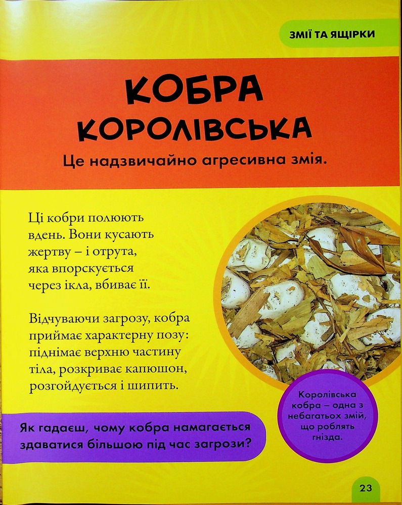 Книга National Geographic. Моя перша енциклопедія. Рептилії та амфібії. Фото 25
