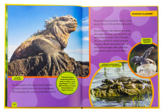 Книга National Geographic. Моя перша енциклопедія. Рептилії та амфібії. Фото 5