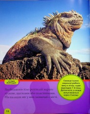 Книга National Geographic. Моя перша енциклопедія. Рептилії та амфібії. Фото 11