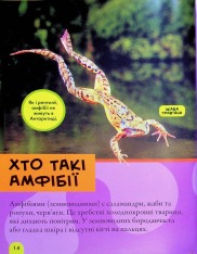 Книга National Geographic. Моя перша енциклопедія. Рептилії та амфібії. Фото 17