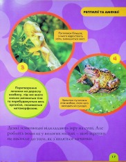 Книга National Geographic. Моя перша енциклопедія. Рептилії та амфібії. Фото 18