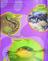 Книга National Geographic. Моя перша енциклопедія. Рептилії та амфібії. Фото 20
