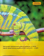 Книга National Geographic. Моя перша енциклопедія. Рептилії та амфібії. Фото 23
