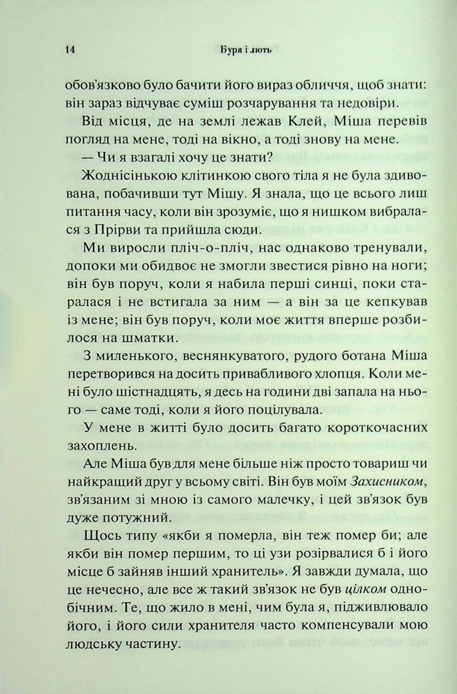 Книга Буря і лють. Книга 1 - Дженніфер Лінн Арментраут. Фото 10