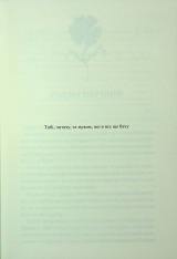 Книга Буря і лють. Книга 1 - Дженніфер Лінн Арментраут. Фото 2