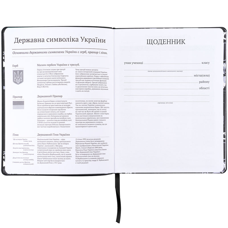Щоденник шкільний Kite Anime boy K25-283-2, м'яка обкладинка, PU. Фото 4