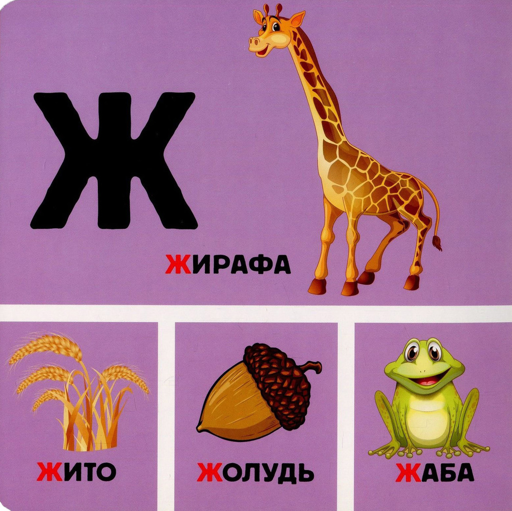 Книга Абетка у малюнках - Руслан Стасюк. Фото 11