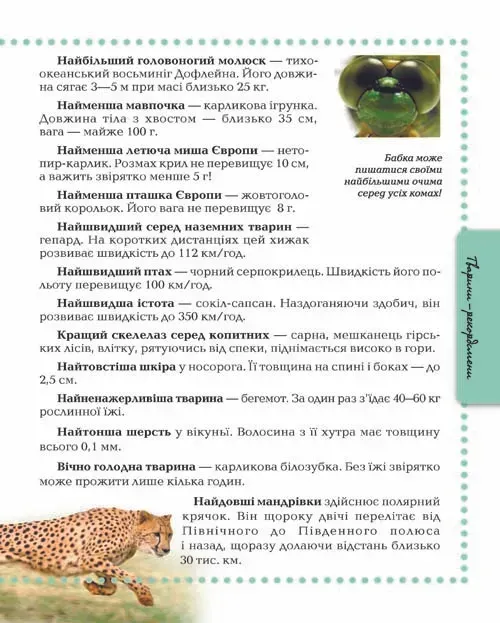 Книга Тварини. Енциклопедія для допитливих. Фото 4