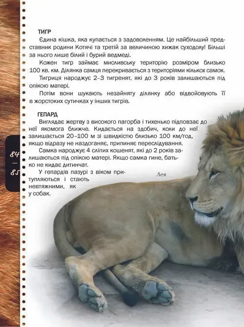 Книга Тварини. Енциклопедія для допитливих. Фото 8