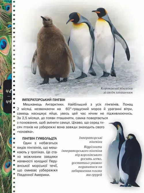 Книга Тварини. Енциклопедія для допитливих. Фото 6