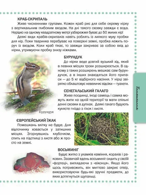Книга Тварини. Енциклопедія для допитливих. Фото 3