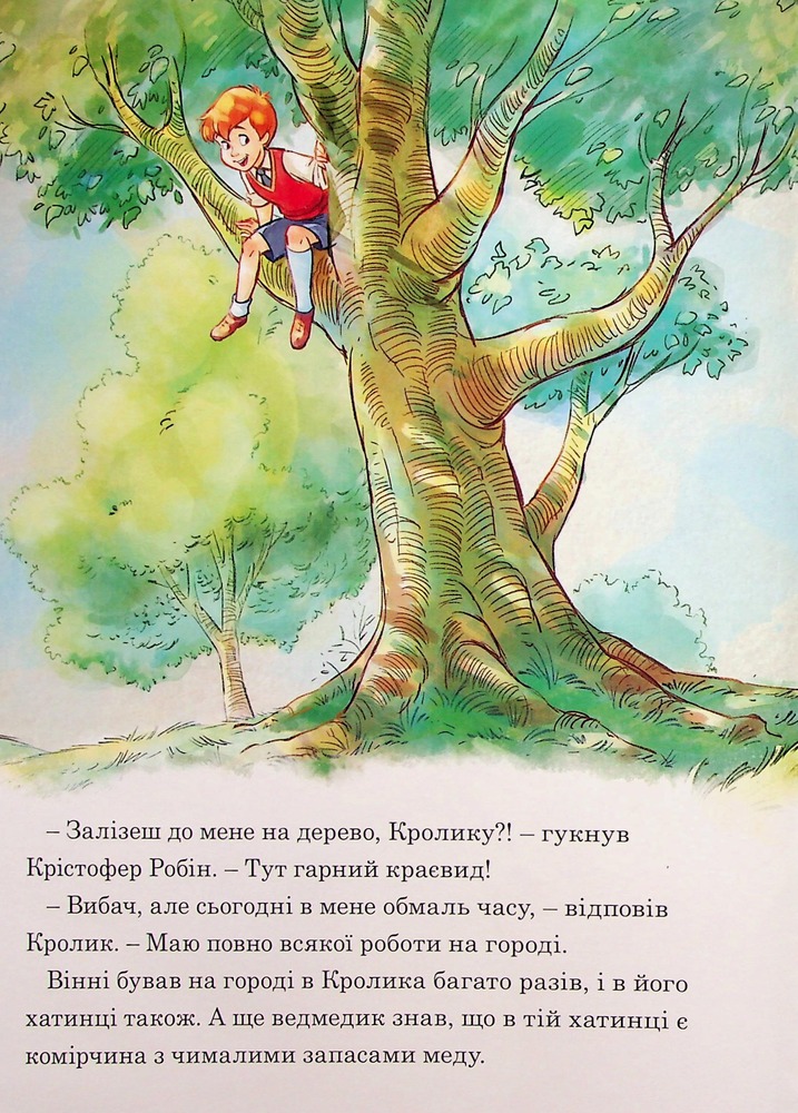 Книга Вінні та його друзі. Щедрий урожай. Фото 5
