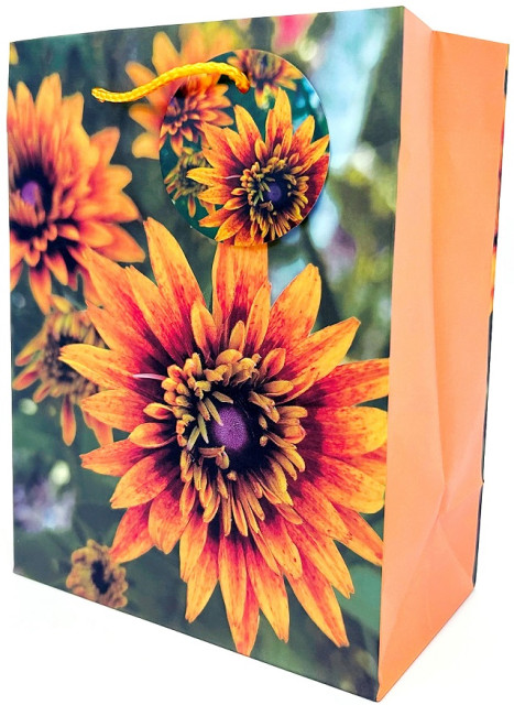 Пакет паперовий Art Studio of Happiness 18х23х10 см, GB-24130