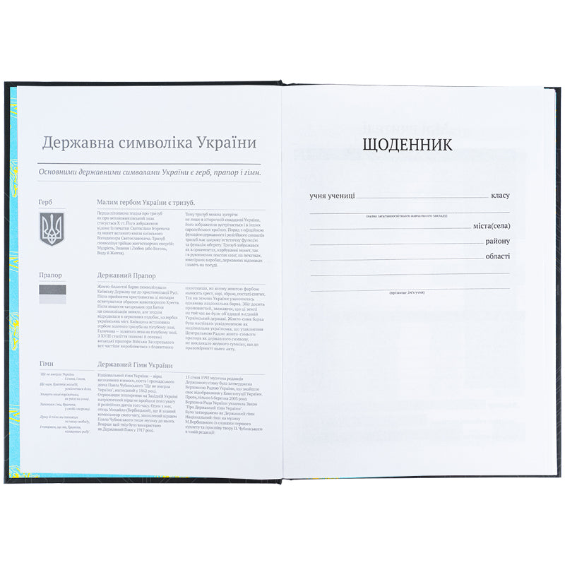 Щоденник шкільний Kite Cyber K25-262-4, тверда обкладинка. Фото 4