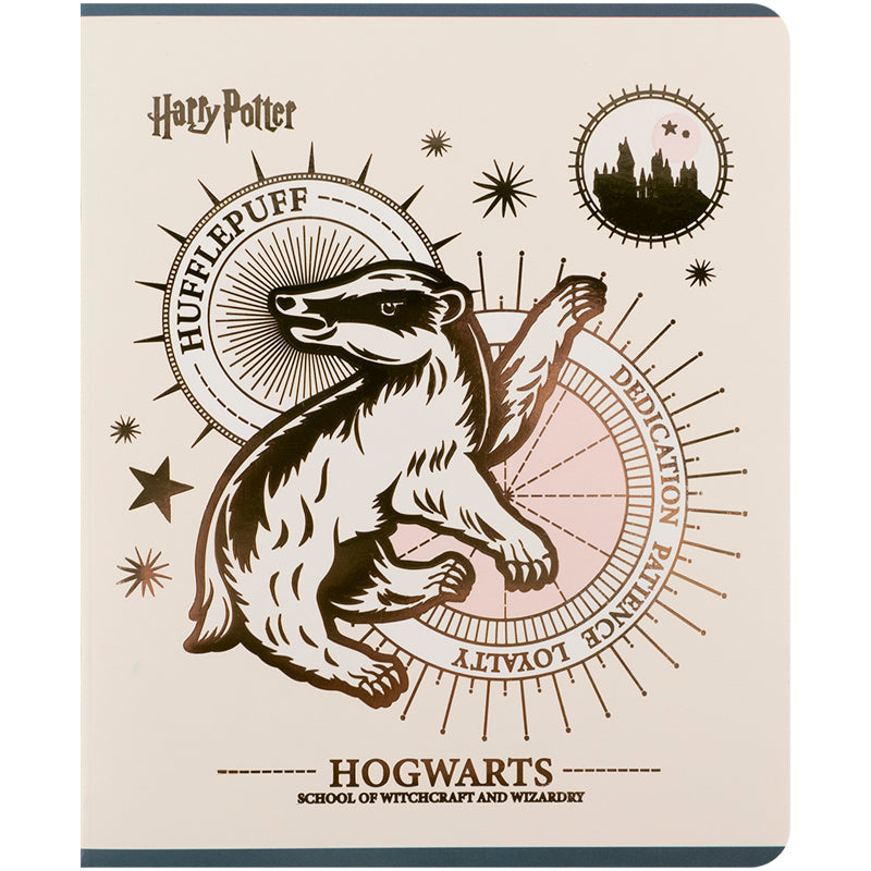 Зошит шкільний Kite Harry Potter 48 аркушів, клітинка HP25-259. Фото 11
