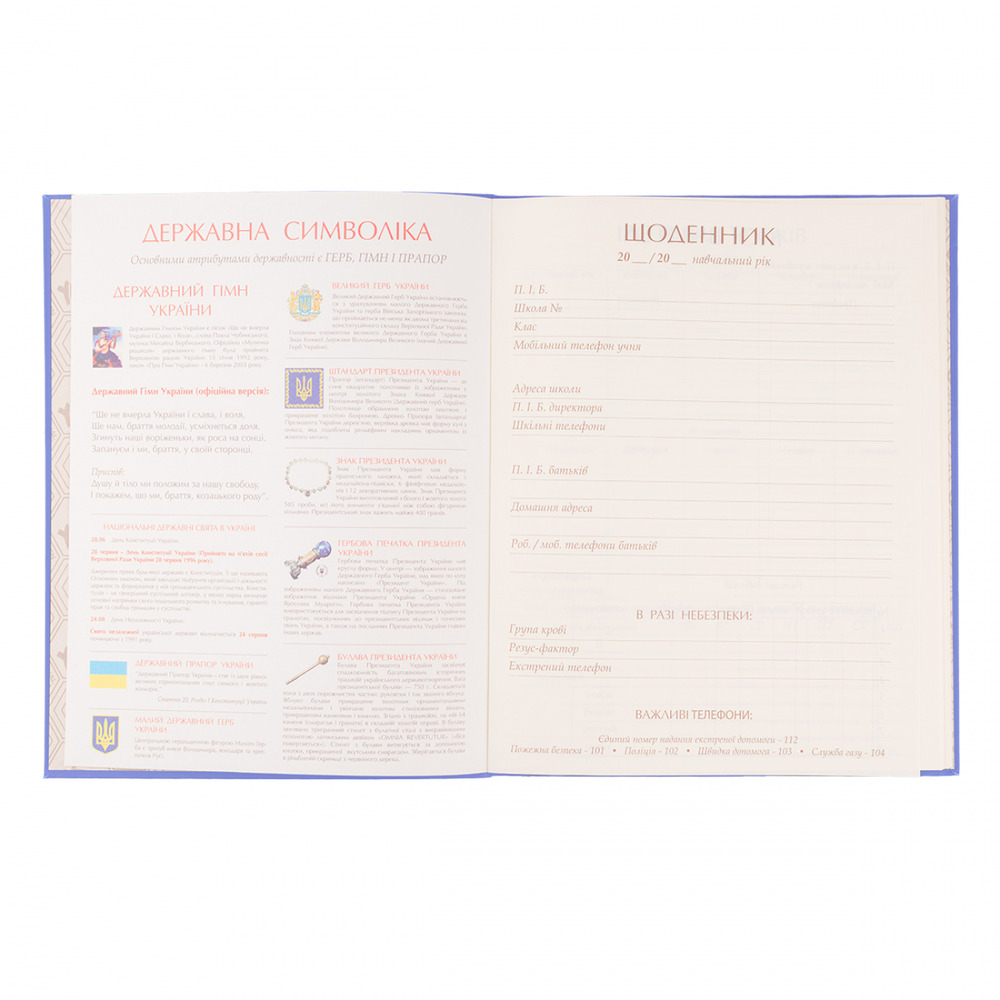 Щоденник шкільний YES А5 40 аркушів Delicious homework 911569. Фото 3