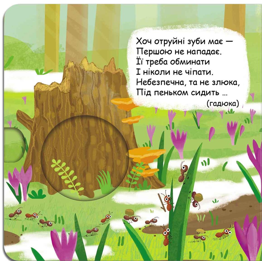 Книжка-схованка Хто сховався в лісі?. Фото 8