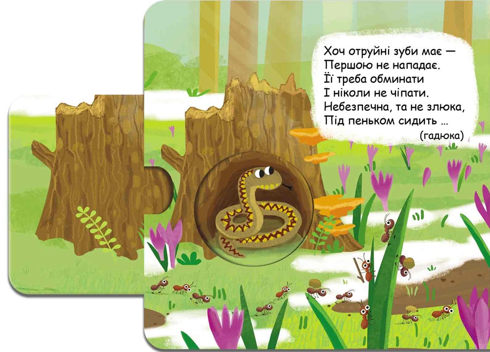 Книжка-схованка Хто сховався в лісі?. Фото 10