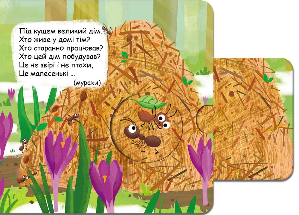 Книжка-схованка Хто сховався в лісі?. Фото 11