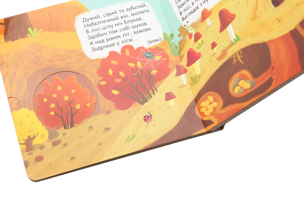 Книжка-схованка Хто сховався в лісі?. Фото 6