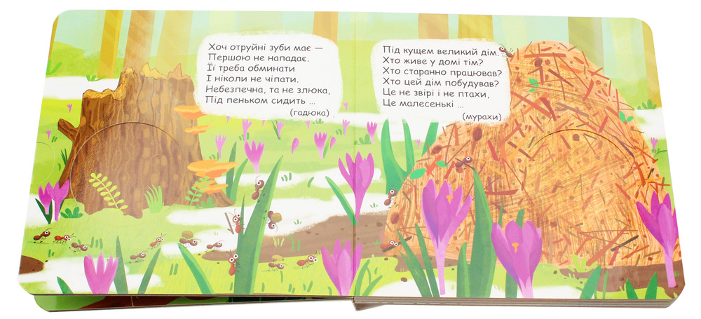 Книжка-схованка Хто сховався в лісі?. Фото 5