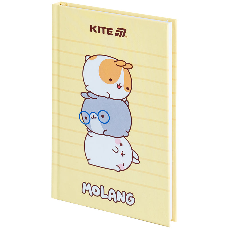 Книга записна Kite Molang ML25-199, тверда обкладинка, А6, 80 аркушів, клітинка. Фото 2