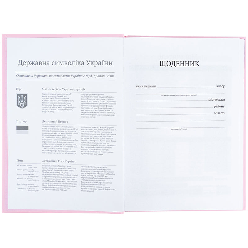 Щоденник шкільний Kite K25-262-17, тверда обкладинка, світло рожевий. Фото 4