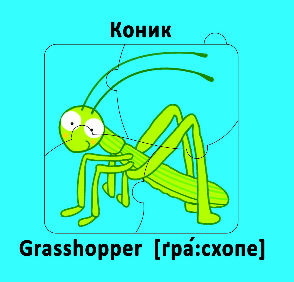 Книга-картонка. Веселі крутилки. Комашки. Фото 10