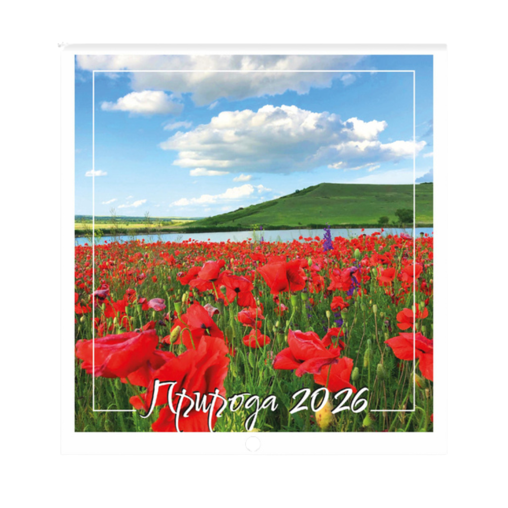 Календар 2026 настінний квадрат малий (12 видів). Фото 6
