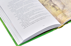 Книга Хроніки Архео. Книга 3. Секрет великого магістра - Агнєшка Стельмашик. Фото 4