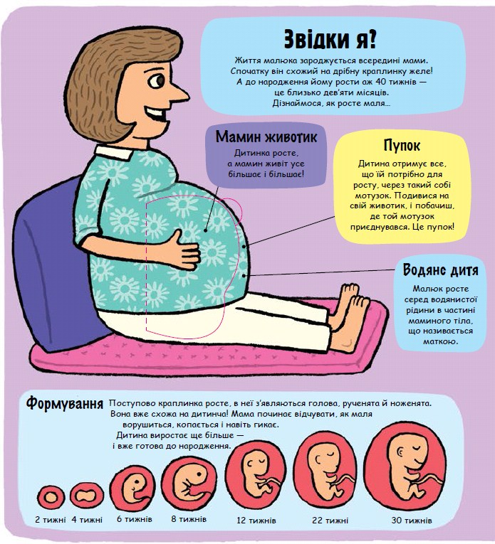 Книга Маленькі дослідники. Моє дивовижне тіло. Фото 3
