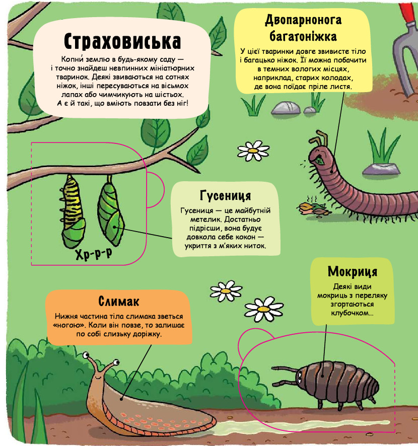 Книга Маленькі дослідники. Комашки. Фото 7