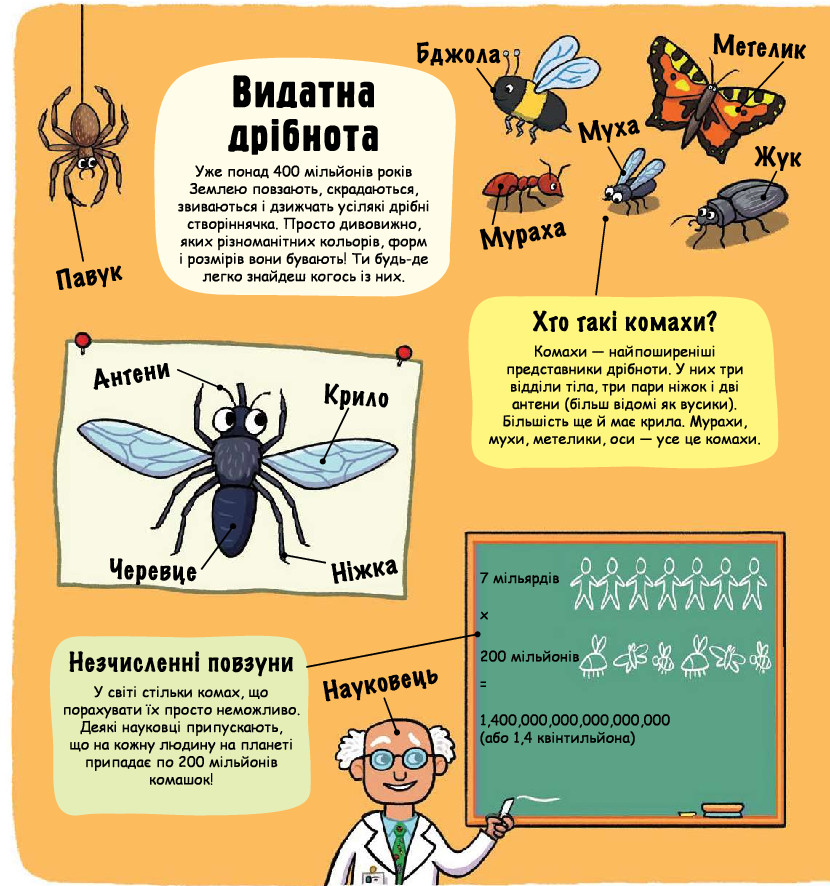 Книга Маленькі дослідники. Комашки. Фото 3
