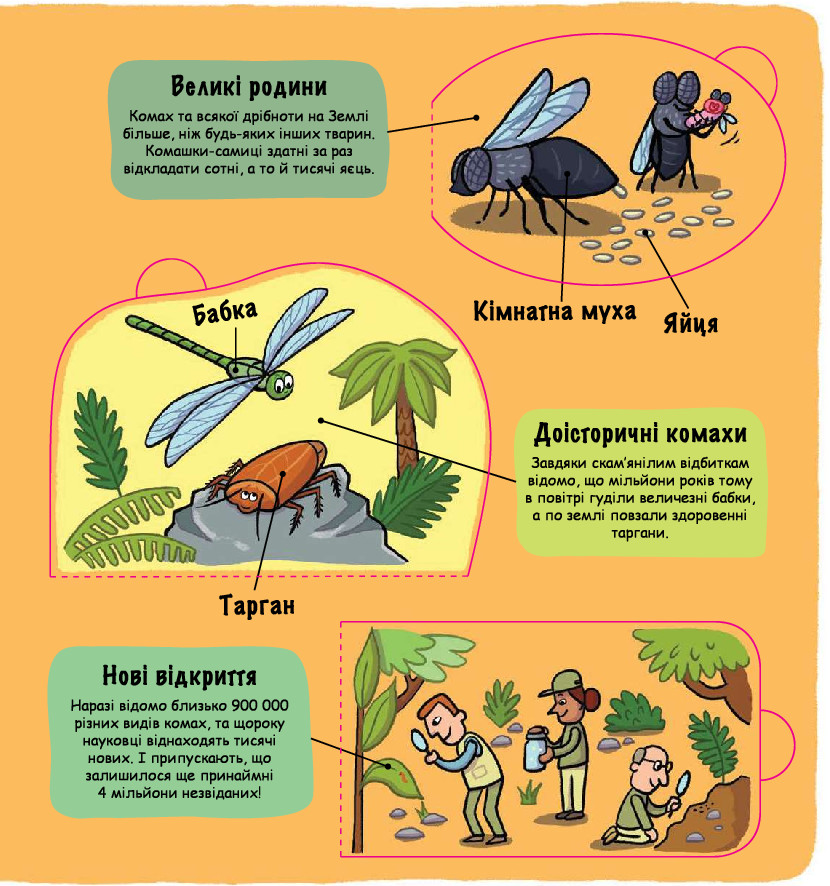 Книга Маленькі дослідники. Комашки. Фото 4