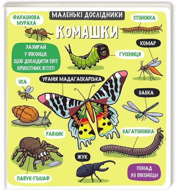 Книга Маленькі дослідники. Комашки