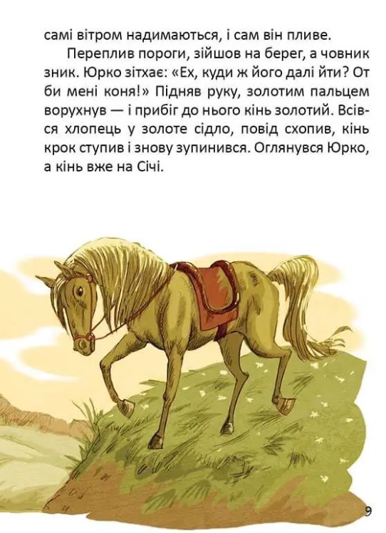 Книга Легенди про козаків - Еліна Заржицька. Фото 3