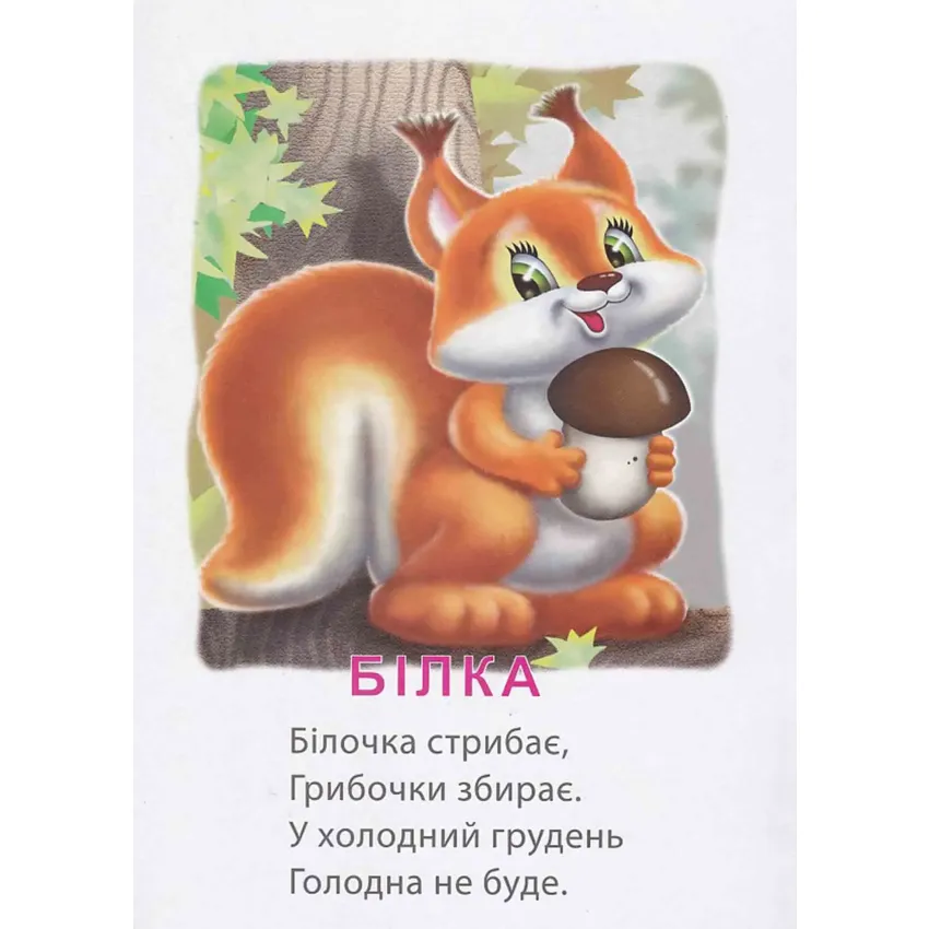 Книга Це хто? в лісі. Фото 4