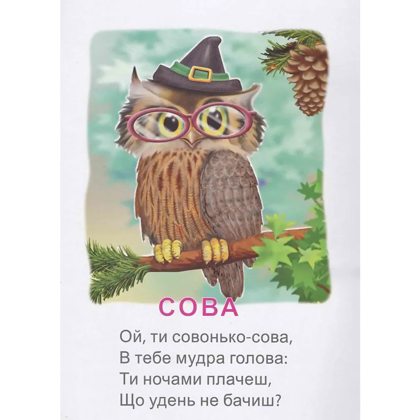 Книга Це хто? в лісі. Фото 2