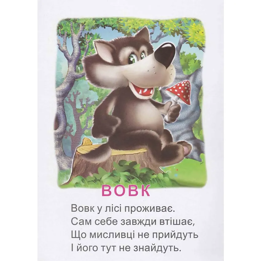 Книга Це хто? в лісі. Фото 3
