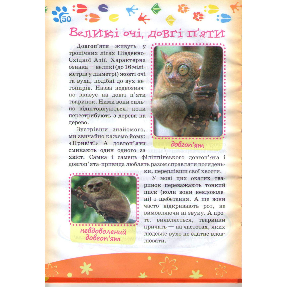 Книга Дивовижна мова тварини. Фото 2