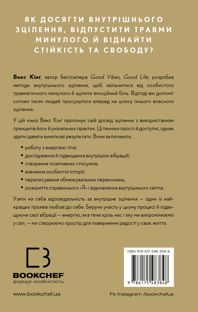 Книга Healing Is the New High. Посібник із подолання емоційних потрясінь і здобуття свободи - Векс Кінґ. Фото 2