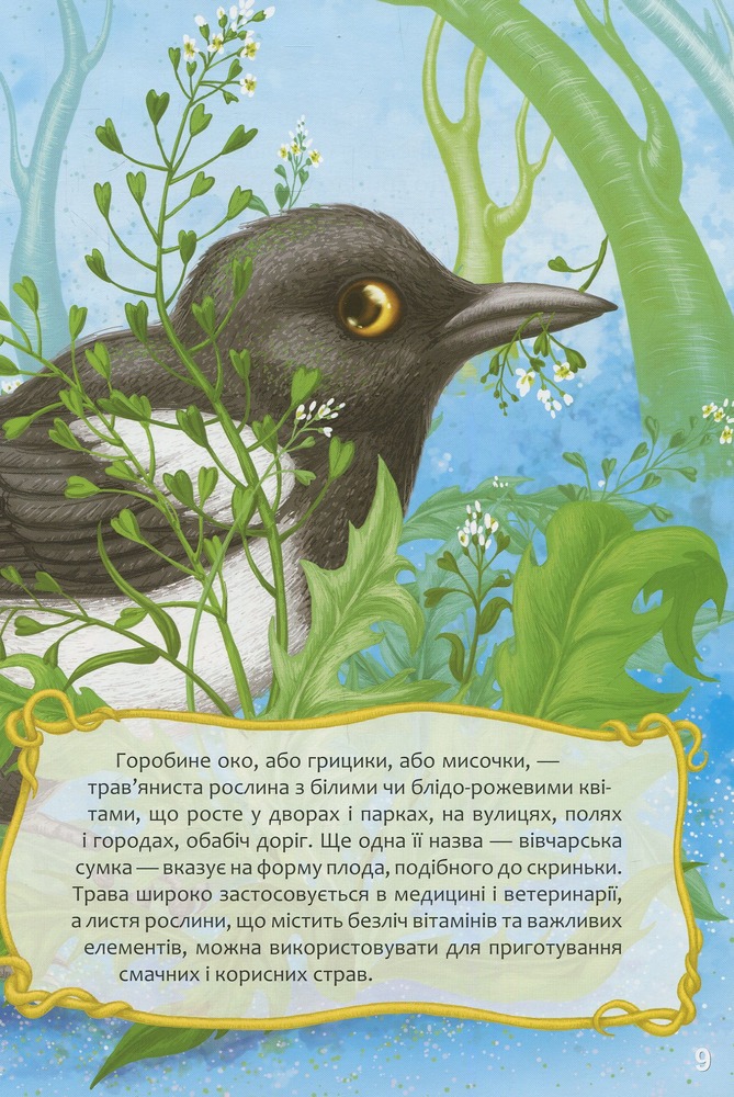 Книга Найкращий подарунок. Квіткова абетка. Фото 10