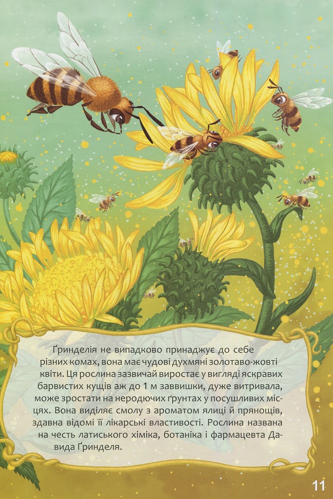 Книга Найкращий подарунок. Квіткова абетка. Фото 12