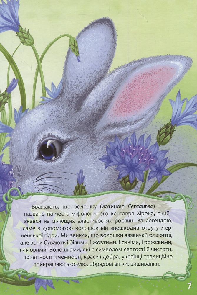 Книга Найкращий подарунок. Квіткова абетка. Фото 8