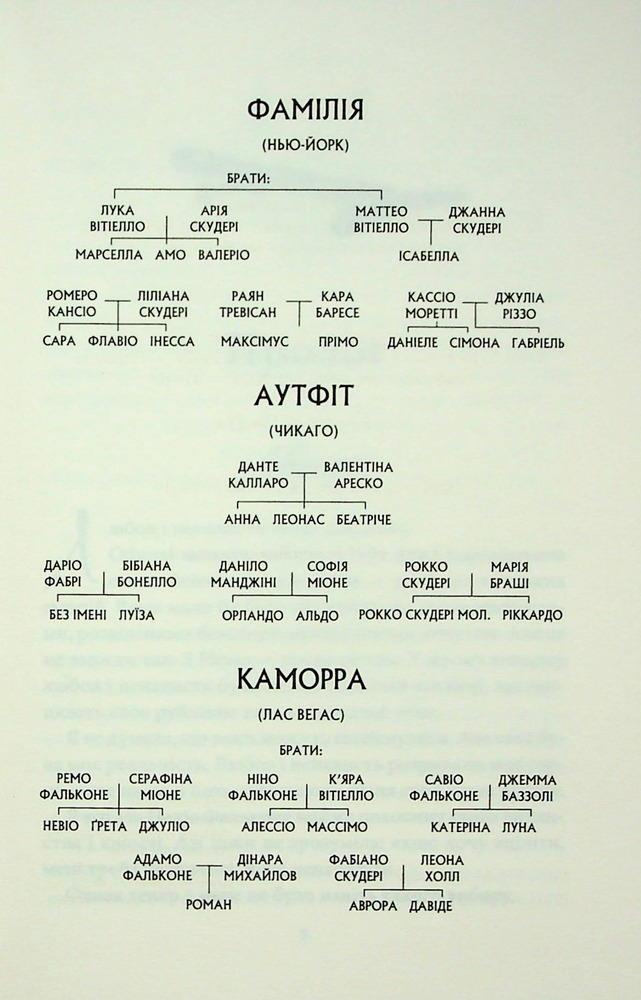 Книга Через безумство я руйную. Книга 5 - Кора Райлі. Фото 2