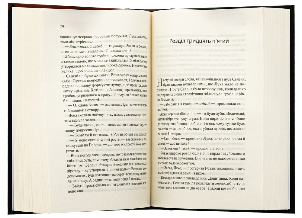 Книга Спадкоємиця вогню. Книга 3 - Сара Джанет Маас. Фото 6