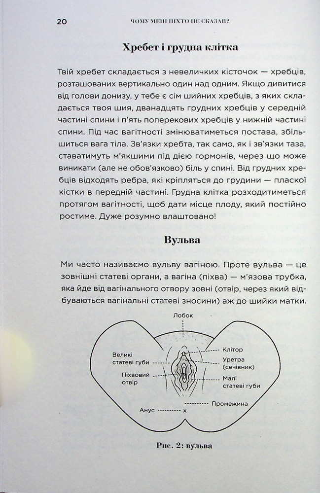 Книга Чому мені ніхто не сказав? Як захищати, зцілювати та плекати своє тіло через материнство - Емма Броквелл. Фото 19