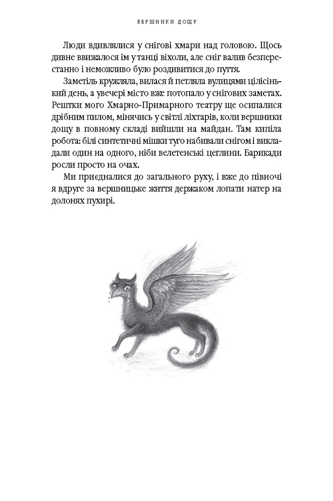 Книга Вершники дощу - Катерина Штанко. Фото 8